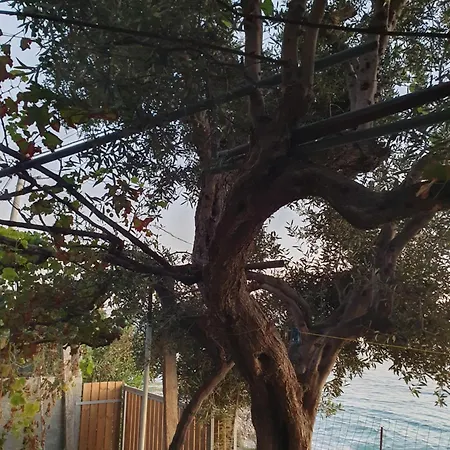 Maison d'hôtes Zero Of Sea Borsh